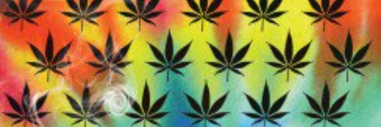 lapdancejai's profile banner image
