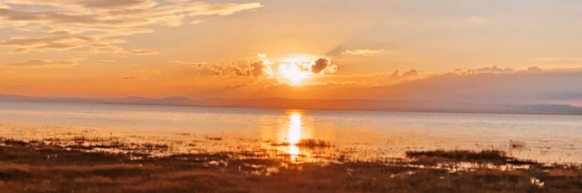 benjithorne18's profile banner image