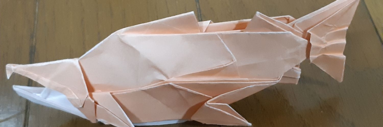 salmon_math's profile banner image