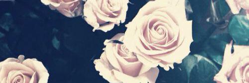 morgan_roxanne's profile banner image