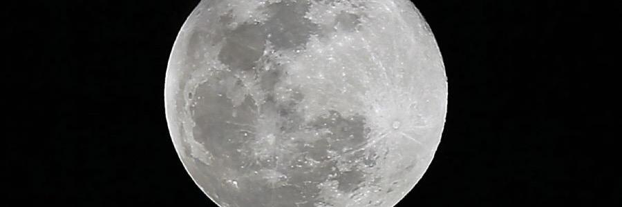 RogiaIstela's profile banner image