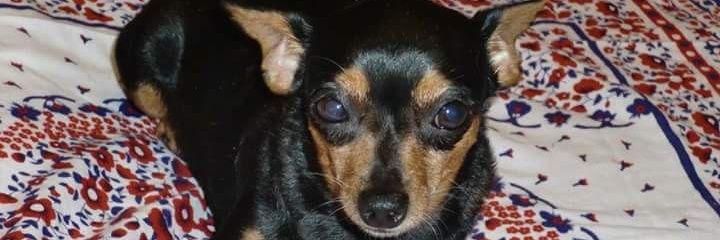paky0_0's profile banner image