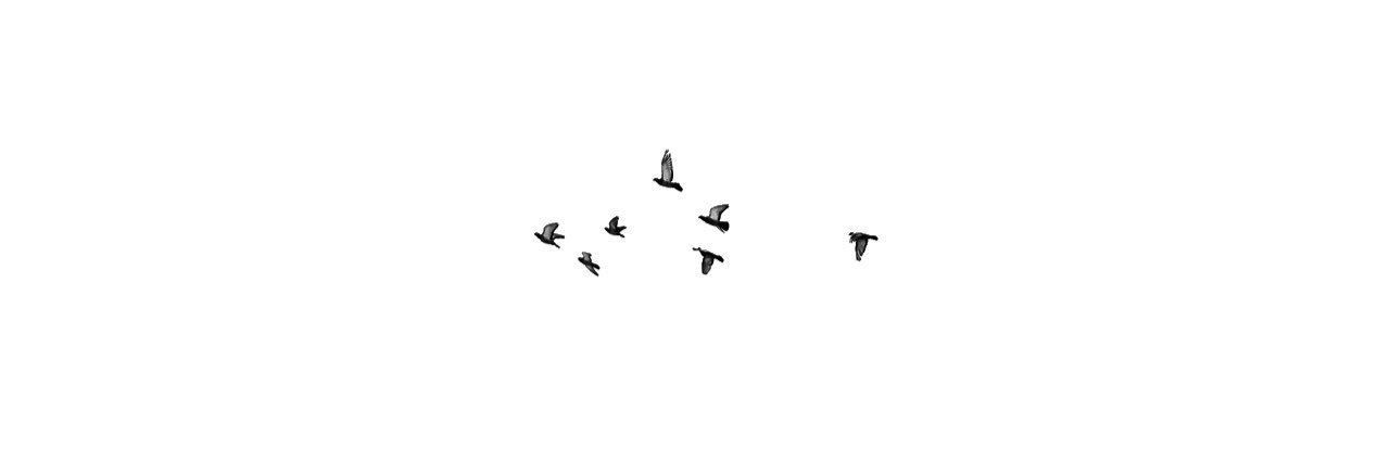 taylordts's profile banner image