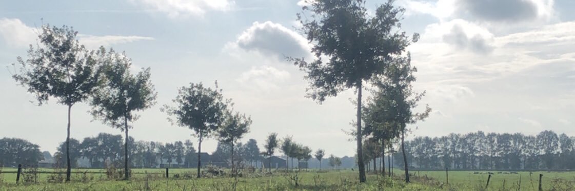watermarlong's profile banner image
