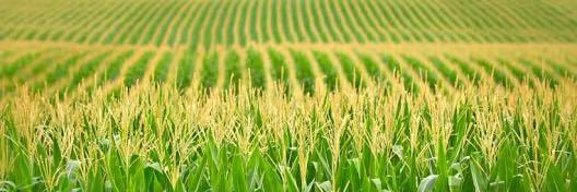 3m_agro's profile banner image