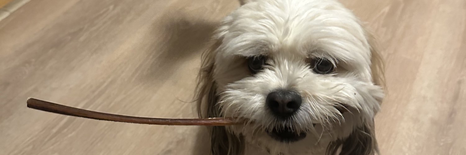 BoscoJoey's profile banner image