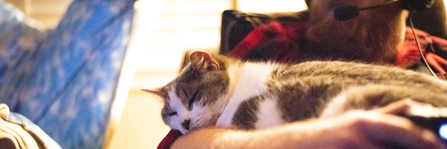 Its_T_Squared's profile banner image