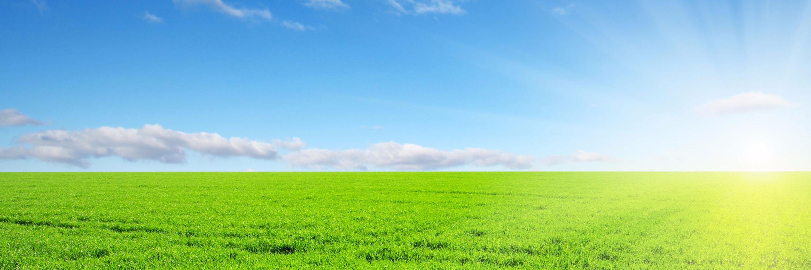 mwradon's profile banner image