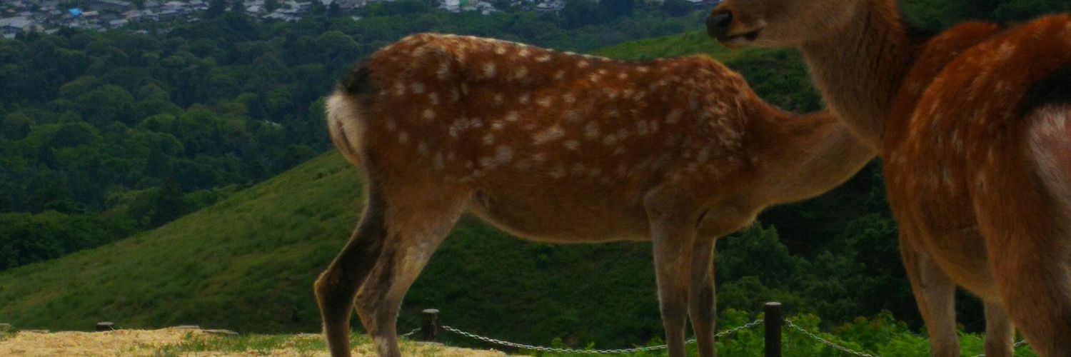 naka558558's profile banner image