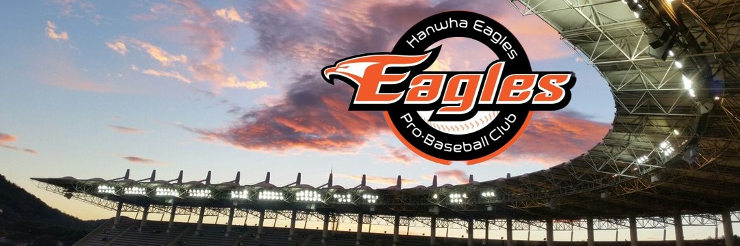 133_eagles's profile banner image