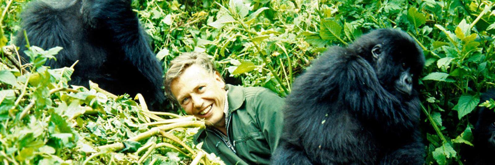 Buddy2Blogger's profile banner image