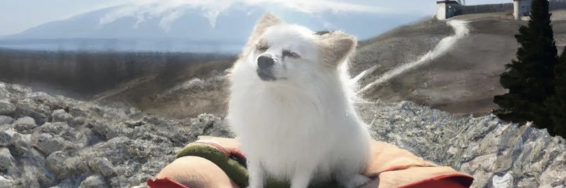 LindShea's profile banner image