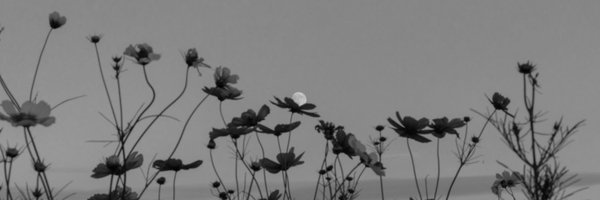 hoppecoppe Profile Banner