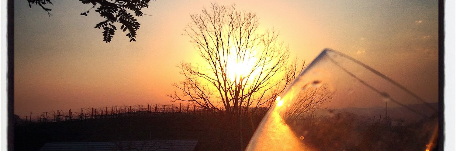 Dr² Olivier Coussi banner