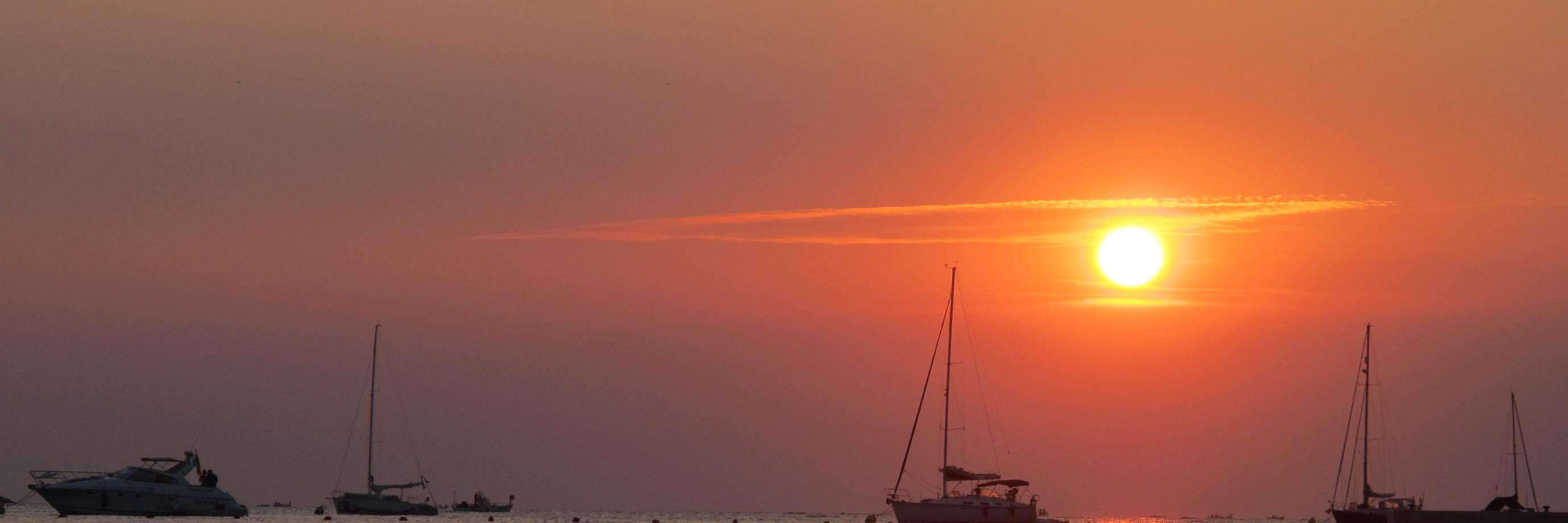 Francesca Felet banner