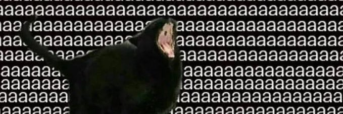 hawkeirl's profile banner image