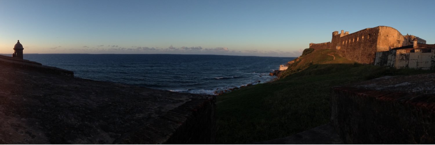 Laura Toraldo banner