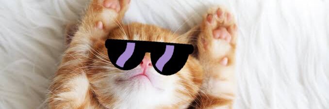 sakebeerwine's profile banner image
