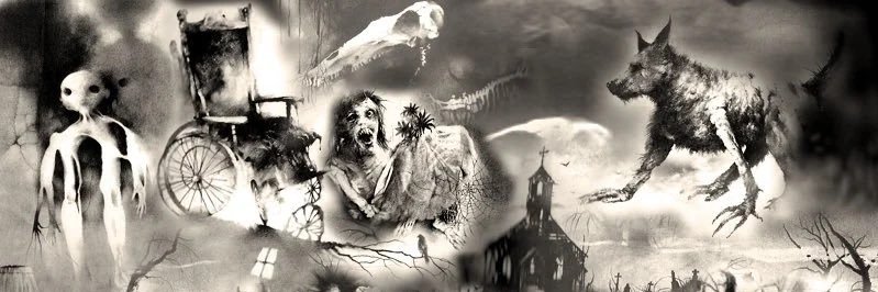 aggrodoom's profile banner image