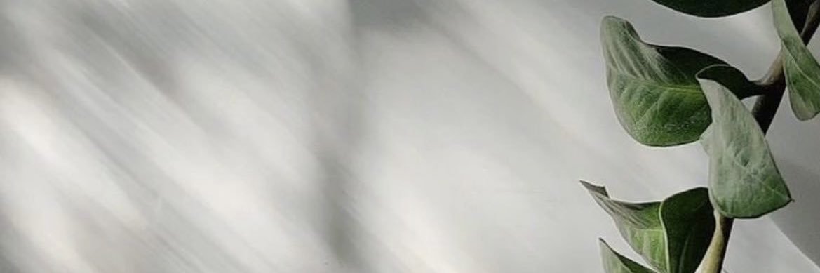 busecinuk's profile banner image