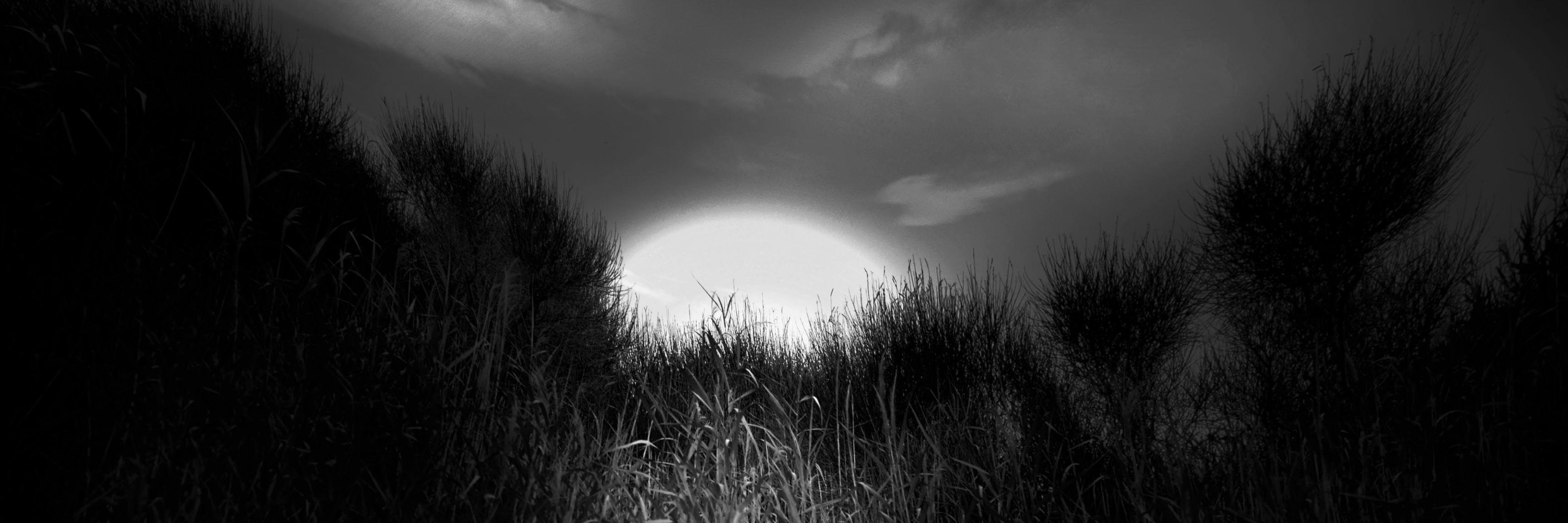 StefPhotograph's profile banner image