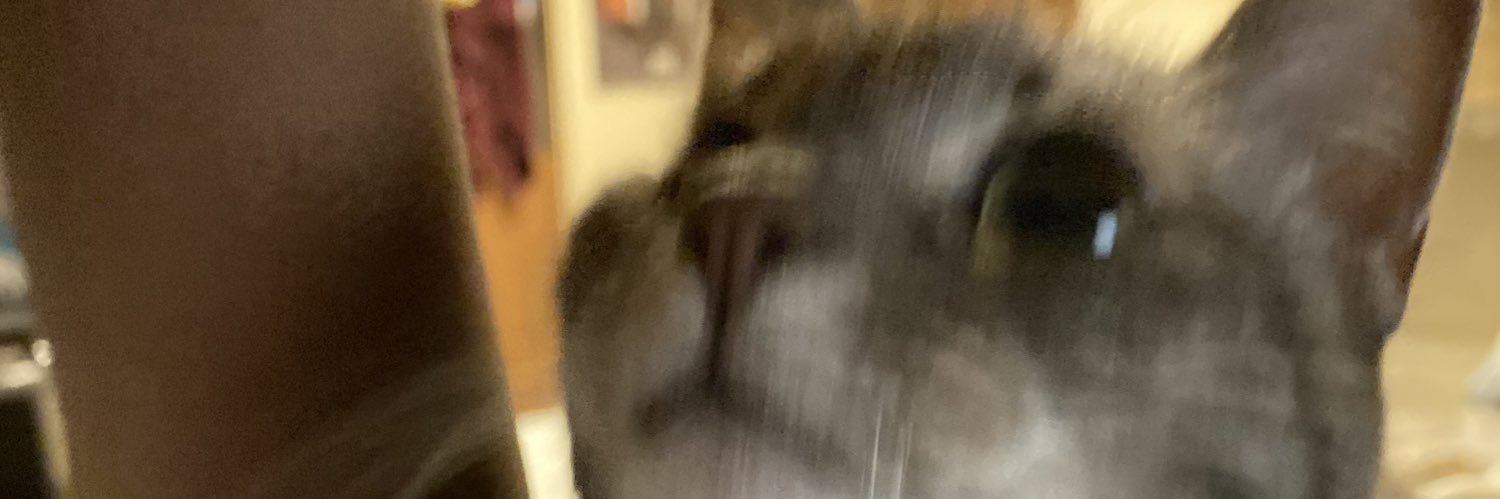 its_rham's profile banner image