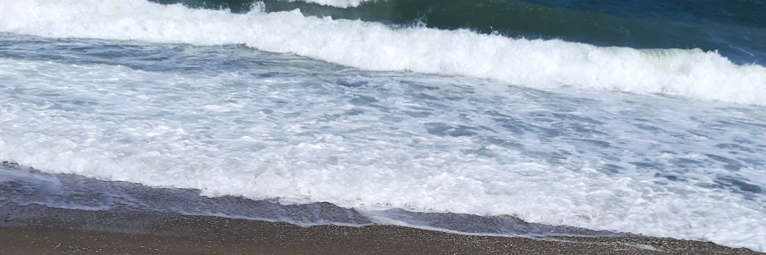 elifbasoglu588's profile banner image