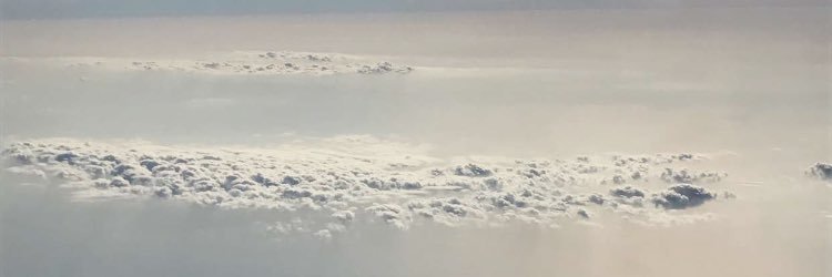 mo0mo8's profile banner image