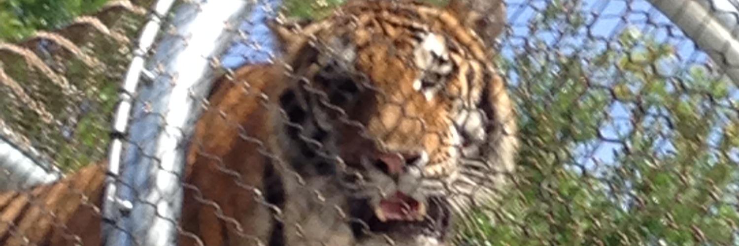 TheRealSchven's profile banner image