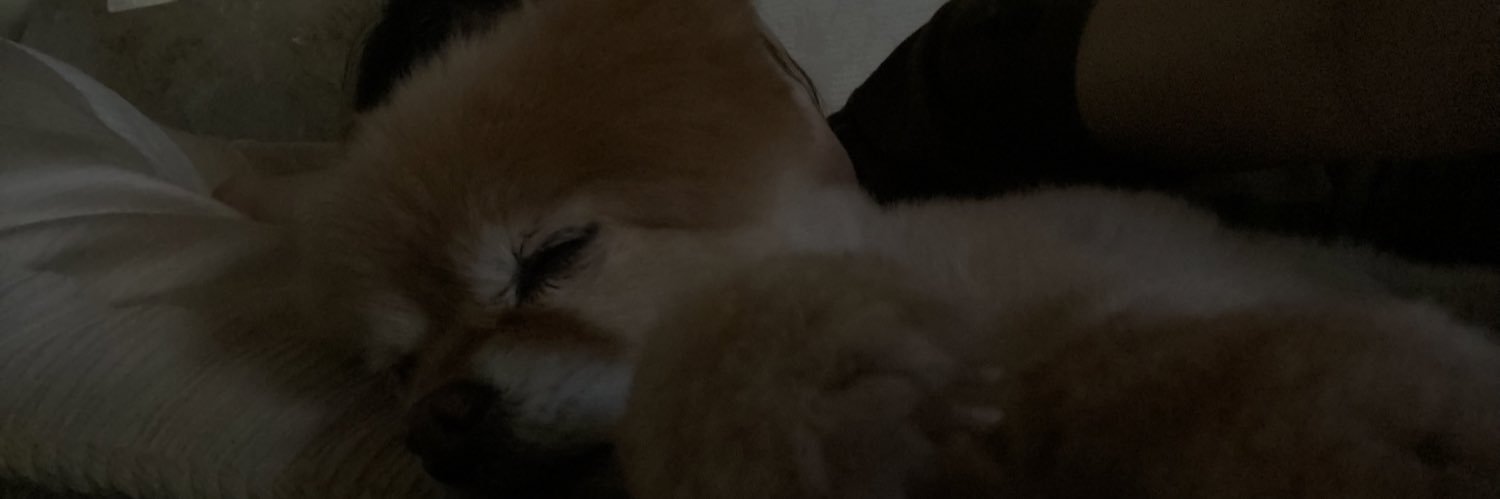 dani banner