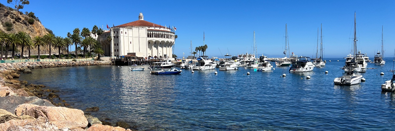 Angelino Insights banner