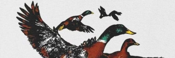 timo_soprano's profile banner image