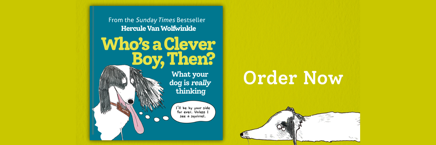 Hercule Van Wolfwinkle banner