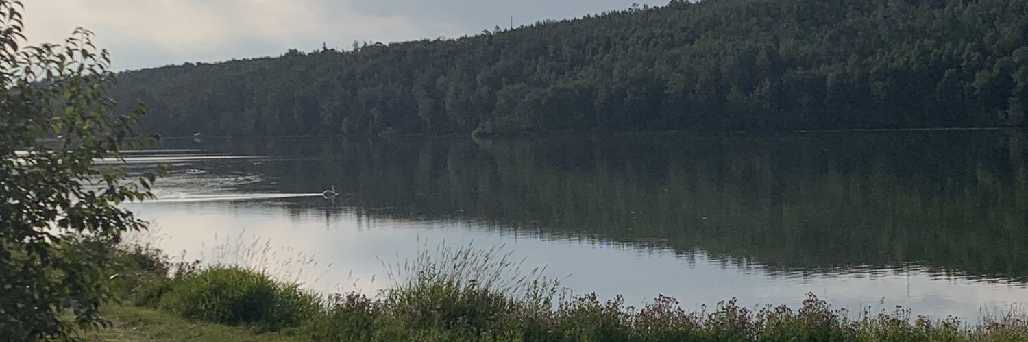 lmk721's profile banner image