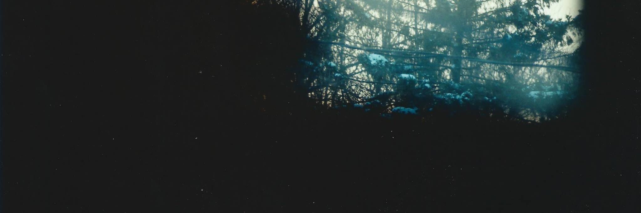 tsaikyara's profile banner image