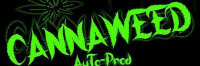 rasta2900's profile banner image