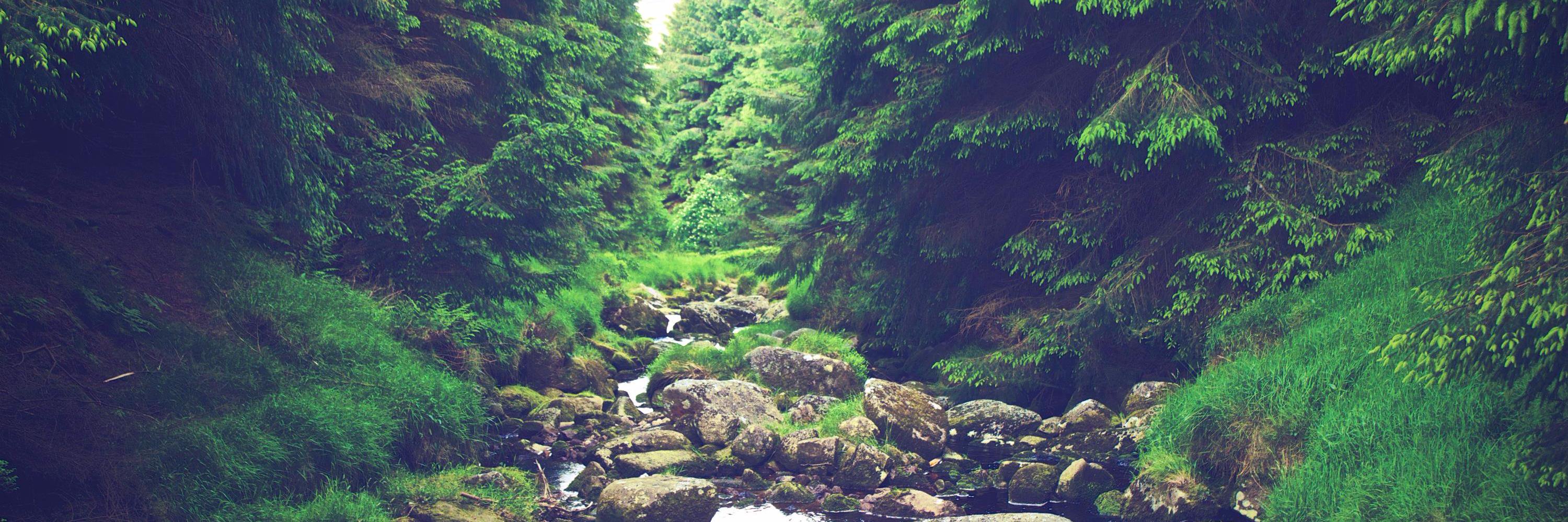 drjulianbell's profile banner image