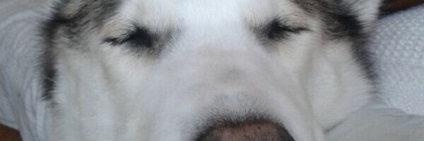 marifr27's profile banner image