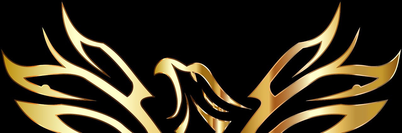 NBGPats's profile banner image
