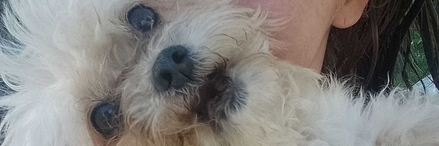 pamemaier's profile banner image