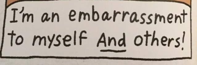 Berg On A Wire banner