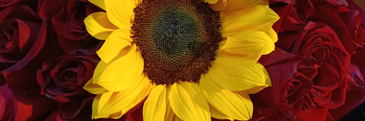 Andy_AZ's profile banner image