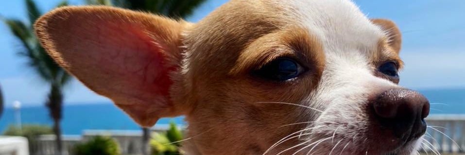 MariaFernadavp_'s profile banner image