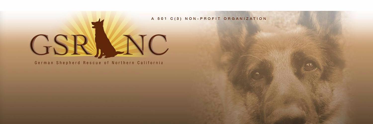 gsrnc's profile banner image