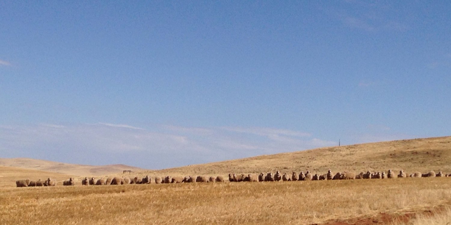 Jarred Tilley banner