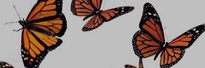 ginagirl41's profile banner image