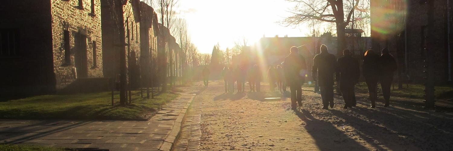Auschwitz Institute banner