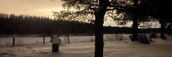 ArgentWebMagic Profile Banner