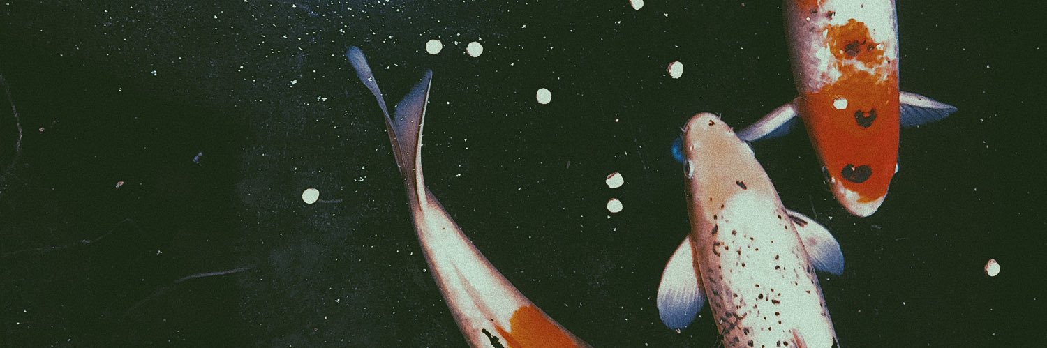 Thats_Natty's profile banner image