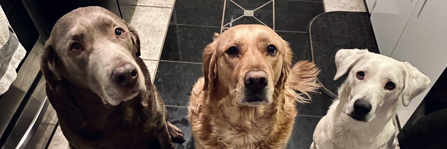 Elishia Seals banner